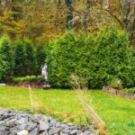 Thujahecke kommt raus