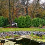 50 Thujas müssen weichen