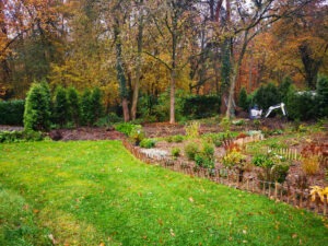 Waldgarten vom Garten aus April 2021