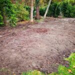 Bodenvorbereitung - guter Waldboden