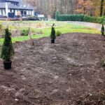 Erste Pflanzen stehen im neuen Waldgarten