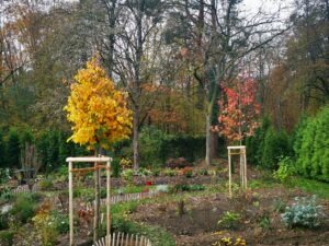 Waldgarten - das Innere Ende 2021