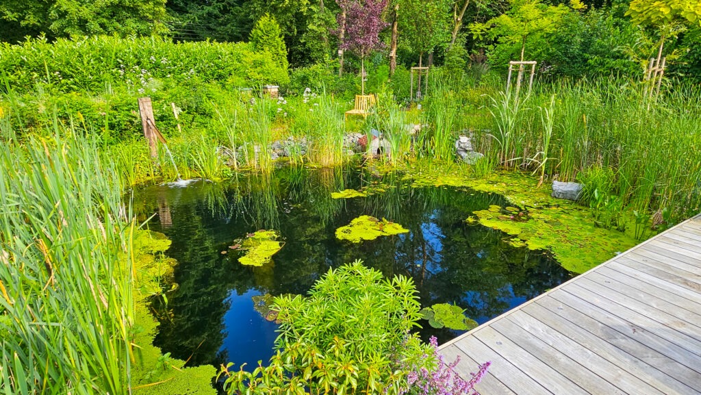 Wassergarten