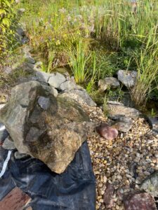 IMG-20231011-WA0068