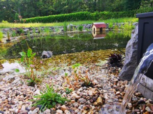 Teich-052021