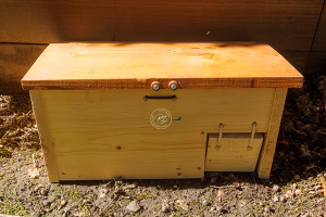 Igel Winterhaus