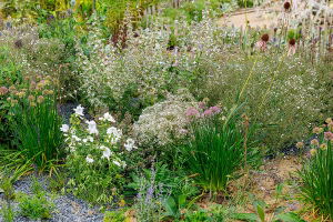 Naturgarten