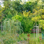 WALDGARTEN vom Teich aus im August 2025