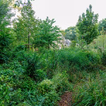 WALDGARTEN vom oberen Ende