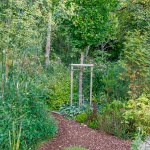 WALDGARTEN - der Weg hindurch