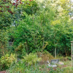 WALDGARTEN im August 2025